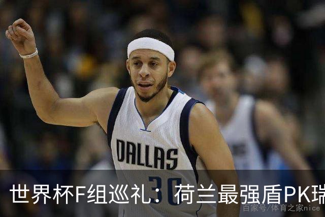 世界杯F组巡礼：荷兰最强盾PK瑞典犀利刀 日本短板明显